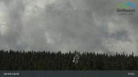 Archiv Foto Webcam Janské Lázně - Černá hora 14:00