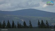 Archiv Foto Webcam Janské Lázně - Černá hora 10:00