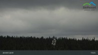 Archiv Foto Webcam Janské Lázně - Černá hora 12:00