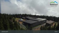 Archiv Foto Webcam Janské Lázně - Černá hora 14:00