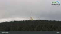 Archiv Foto Webcam Janské Lázně - Černá hora 14:00