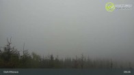 Archived image Webcam Dolní Morava - View Sky Bridge 08:00