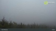Archived image Webcam Dolní Morava - View Sky Bridge 14:00