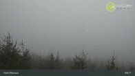 Archived image Webcam Dolní Morava - View Sky Bridge 08:00