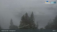 Archiv Foto Webcam Herzogstand: Blick auf den Kochelsee 08:00