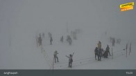 Archived image Webcam Peak Jungfraujoch, Lauterbrunnen 14:00
