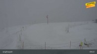 Archiv Foto Webcam Jungfraujoch, Lauterbrunnen 08:00