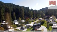 Archived image Webcam Sexten-Moos: caravanpark 11:00