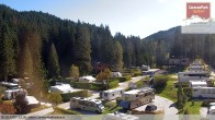 Archiv Foto Webcam Caravanpark in Sexten - Moos 11:00