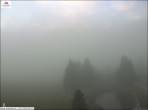 Archiv Foto Webcam Waldheim bei Sexten 05:00