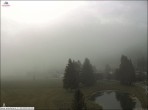 Archiv Foto Webcam Waldheim bei Sexten 05:00