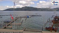 Archived image Webcam Attersee: View at Union Yacht Club 13:00