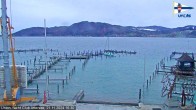 Archiv Foto Webcam Blick vom Union Yacht Club am Attersee 15:00