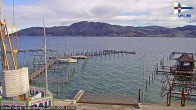 Archiv Foto Webcam Blick vom Union Yacht Club am Attersee 11:00