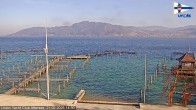 Archiv Foto Webcam Blick vom Union Yacht Club am Attersee 13:00