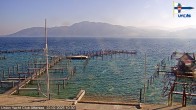 Archived image Webcam Attersee: View at Union Yacht Club 09:00