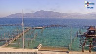 Archiv Foto Webcam Blick vom Union Yacht Club am Attersee 11:00