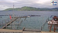 Archiv Foto Webcam Blick vom Union Yacht Club am Attersee 10:00