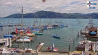 Archiv Foto Webcam Blick vom Union Yacht Club am Attersee 11:00