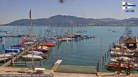 Archiv Foto Webcam Blick vom Union Yacht Club am Attersee 11:00