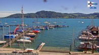 Archiv Foto Webcam Blick vom Union Yacht Club am Attersee 11:00