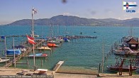 Archiv Foto Webcam Blick vom Union Yacht Club am Attersee 11:00