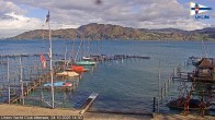 Archiv Foto Webcam Blick vom Union Yacht Club am Attersee 13:00