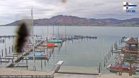 Archiv Foto Webcam Blick vom Union Yacht Club am Attersee 13:00