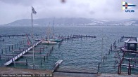 Archiv Foto Webcam Blick vom Union Yacht Club am Attersee 15:00