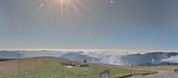 Archiv Foto Webcam Ausblick vom Belchen 11:00