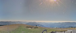 Archiv Foto Webcam Ausblick vom Belchen 13:00