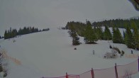 Archiv Foto Webcam Koralpe: Blick Talstation 09:00