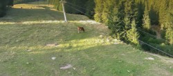 Archiv Foto Webcam Rundblick Eberstein 17:00