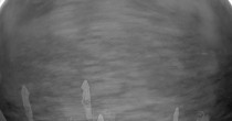 Archiv Foto Webcam Längsee in Kärnten 05:00
