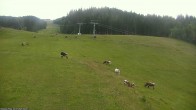 Archiv Foto Webcam Klöstereabfahrt, oberer Teil 19:00