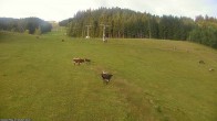 Archived image Webcam "Klösterleabfahrt" slope 05:00