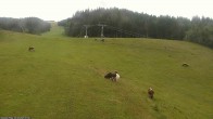 Archiv Foto Webcam Klöstereabfahrt, oberer Teil 06:00