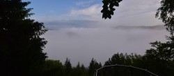 Archiv Foto Webcam Schlögener Schlinge im Oberen Donautal 06:00