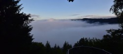 Archiv Foto Webcam Schlögener Schlinge im Oberen Donautal 05:00