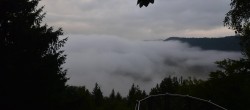 Archiv Foto Webcam Schlögener Schlinge im Oberen Donautal 05:00