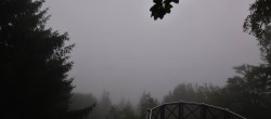 Archived image Webcam Haibach: Schlögener Donauschlinge 07:00