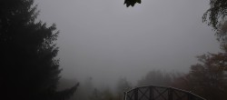 Archived image Webcam Haibach: Schlögener Donauschlinge 07:00