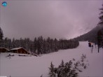 Archiv Foto Webcam Gamskarlift im Skigebiet Ehrwald 13:00
