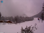 Archiv Foto Webcam Gamskarlift im Skigebiet Ehrwald 11:00
