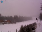 Archiv Foto Webcam Gamskarlift im Skigebiet Ehrwald 11:00