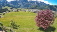 Archiv Foto Webcam Abtenau: Ausblick vom Gasthaus zur Sonnleitn 11:00
