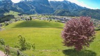 Archiv Foto Webcam Abtenau: Ausblick vom Gasthaus zur Sonnleitn 13:00