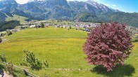 Archiv Foto Webcam Abtenau: Ausblick vom Gasthaus zur Sonnleitn 11:00
