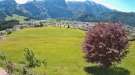 Archiv Foto Webcam Abtenau: Ausblick vom Gasthaus zur Sonnleitn 13:00