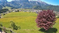 Archiv Foto Webcam Abtenau: Ausblick vom Gasthaus zur Sonnleitn 11:00